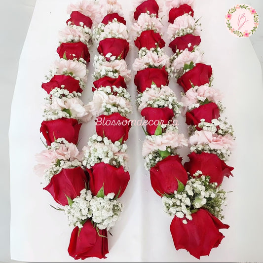 Crimson Carnation Varmala