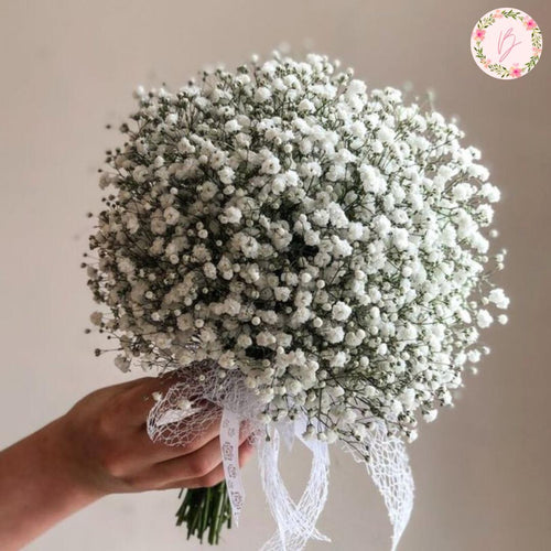 Fresh Baby's Breath Bridesmaid Bouquet