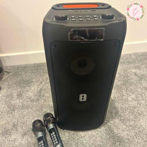 2 Mics & Speaker Set Rental